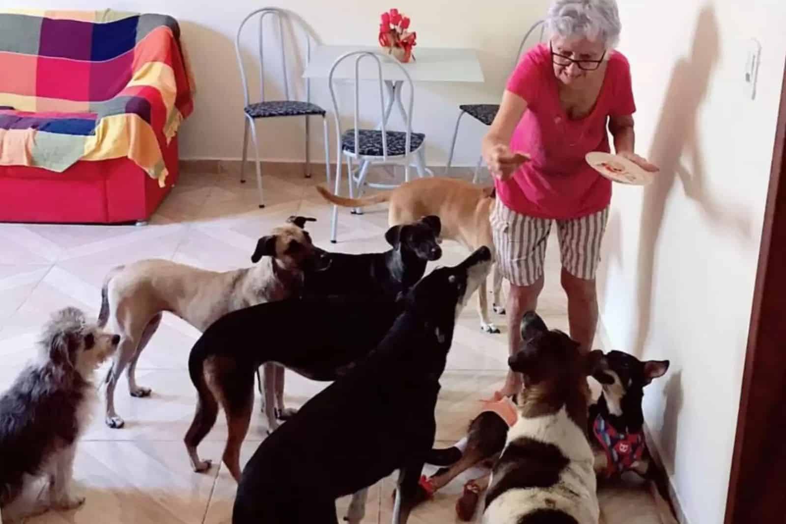 an old grandma with her dogs