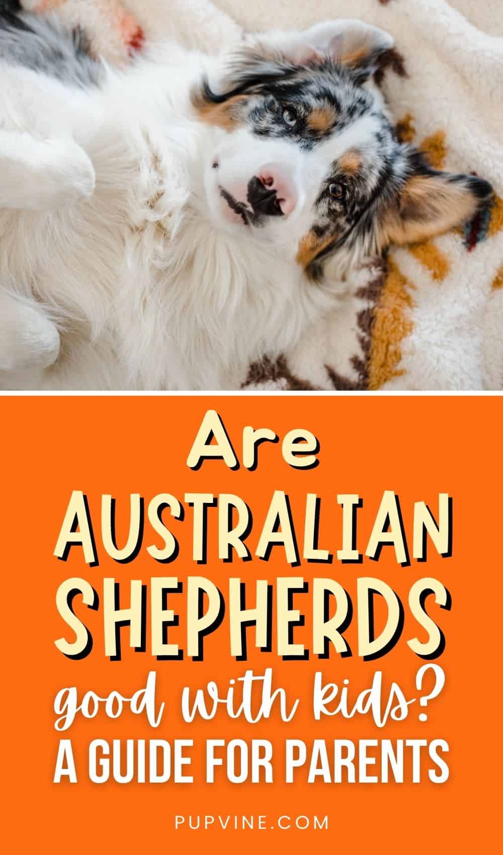 Are Australian Shepherds Good With Kids A Guide For Parents