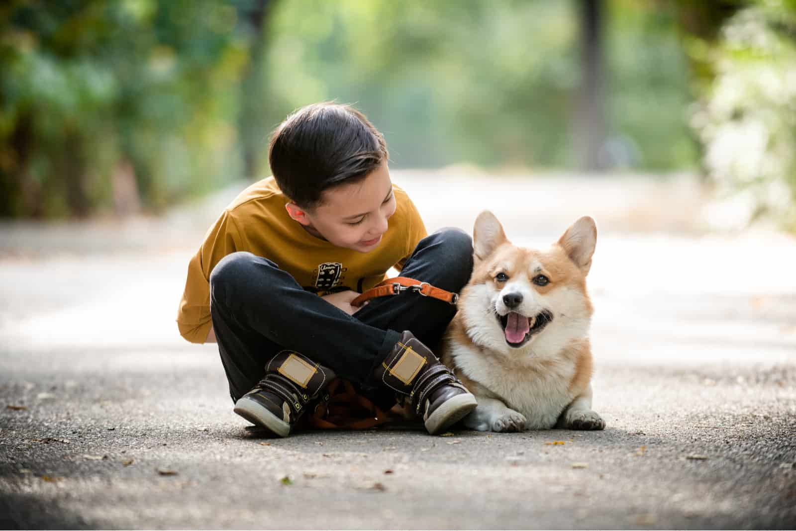 Are Corgis Good With Kids? Advice To Parents With Corgis