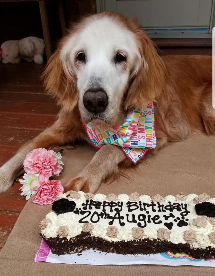 auggie's birthday