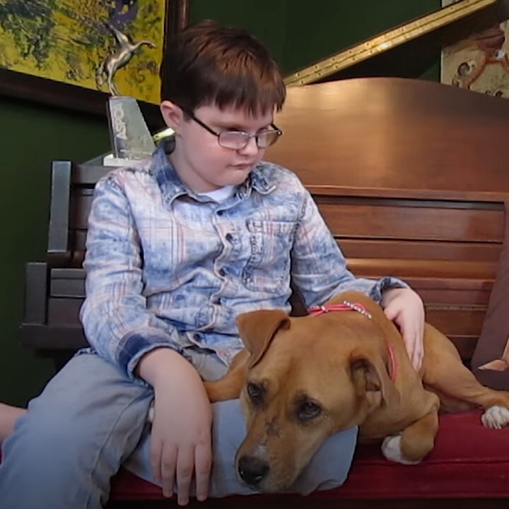 autistic boy with his dog