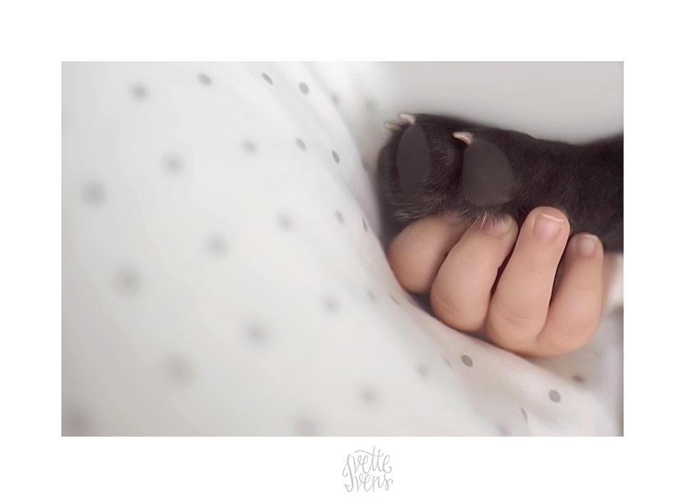 baby hand with dogs paw