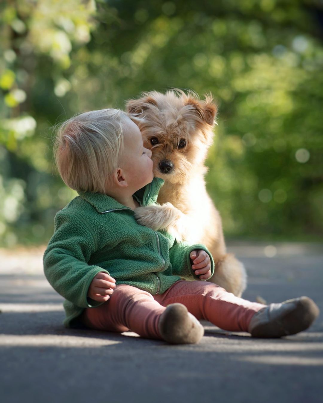 baby sitting on the street with knut