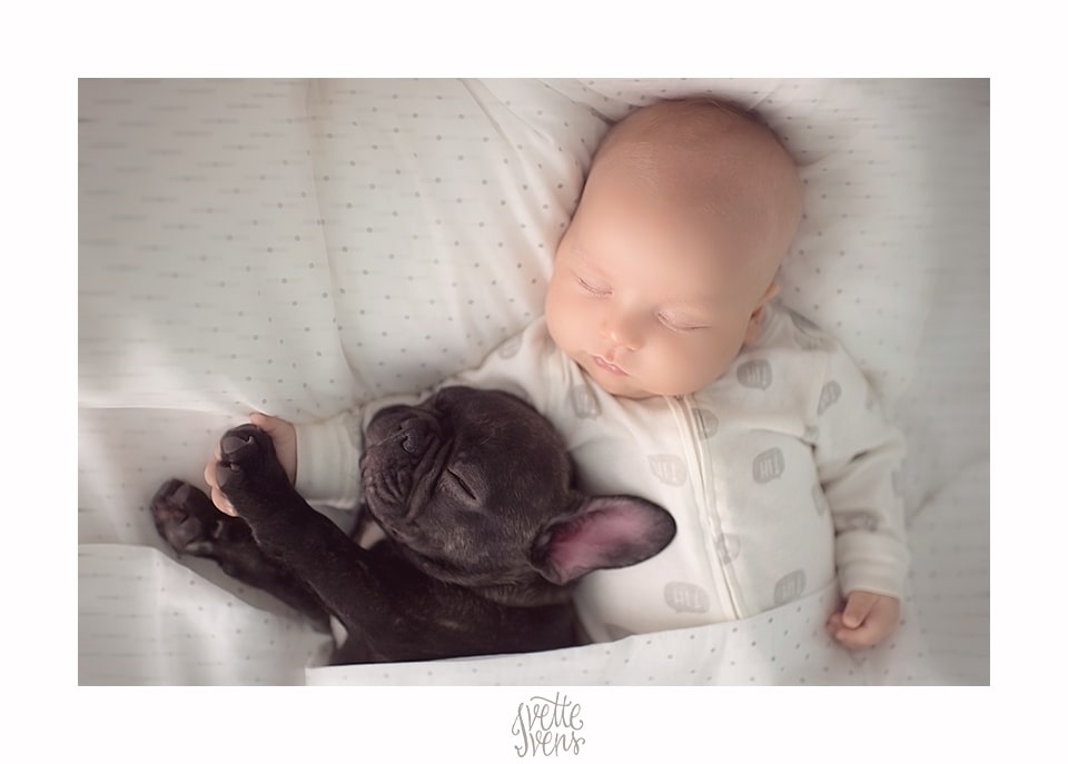 baby sleeps with dog