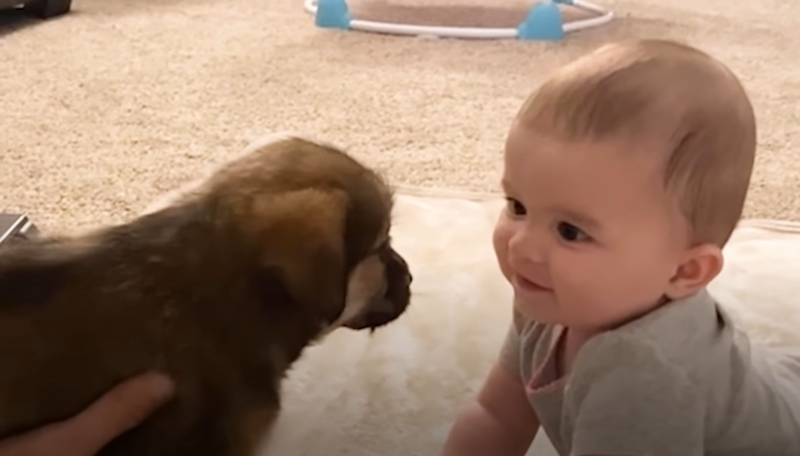 baby with puppy