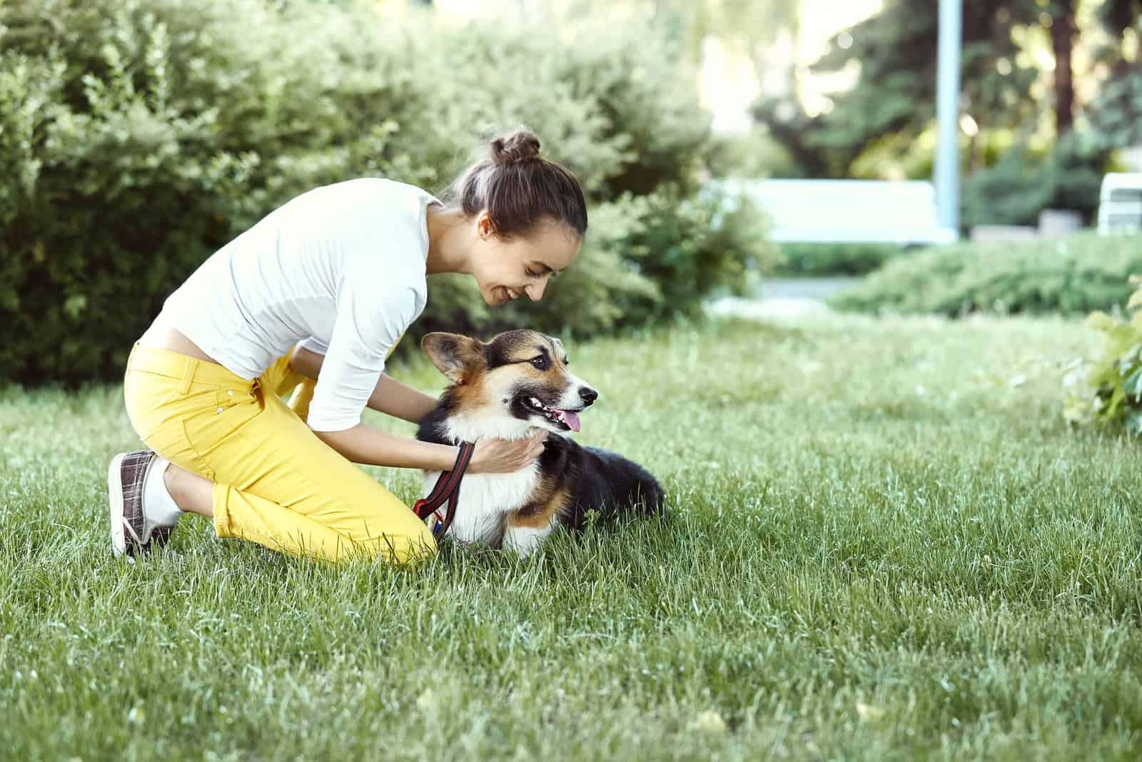 beautiful corgi with owner outdoors