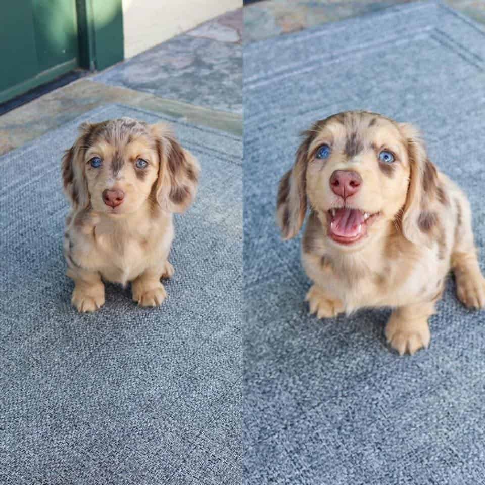 Before And After Being Called A Good Girl