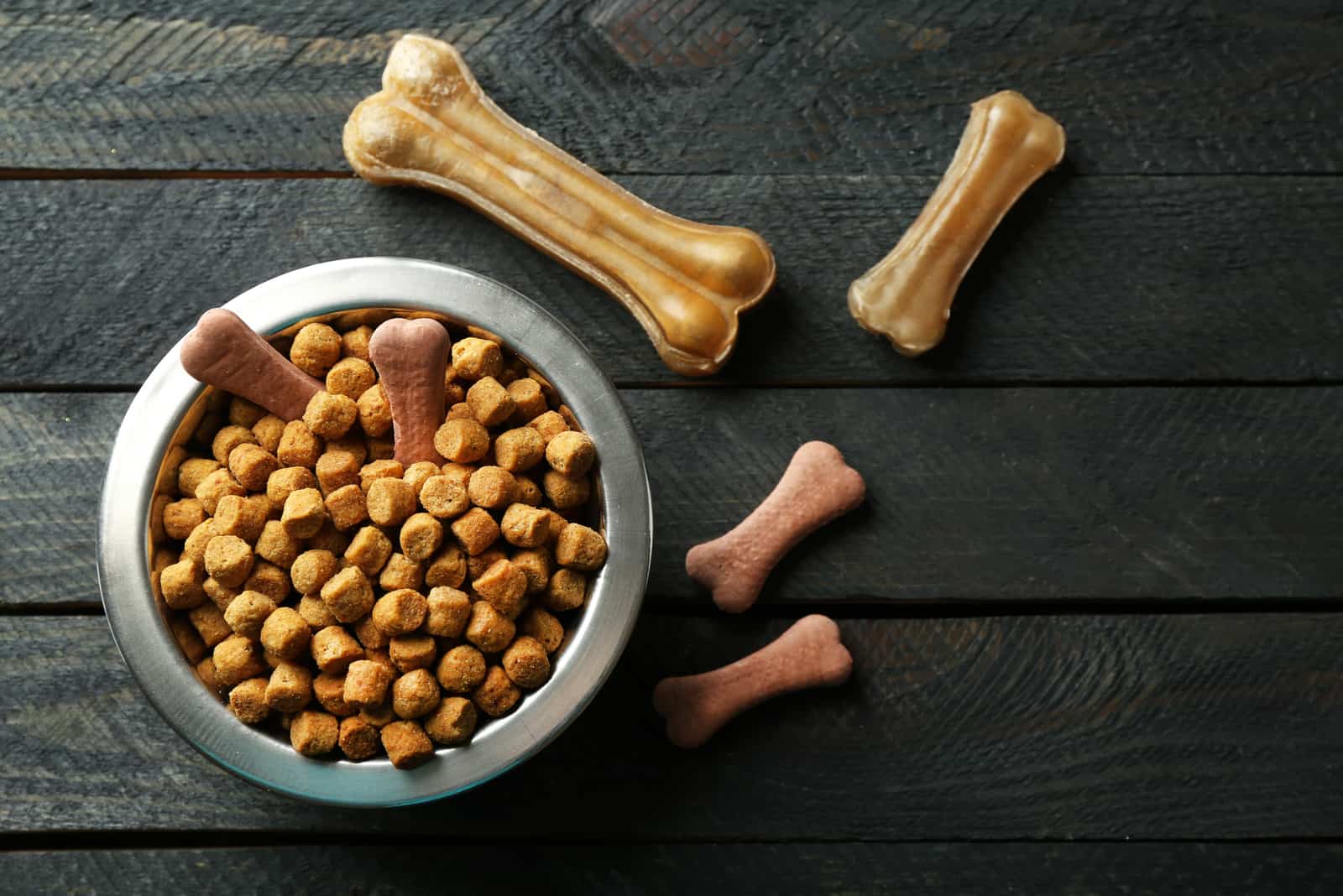 Best Dog Food For Cavapoo: 11 Meals This Pooch Will Love