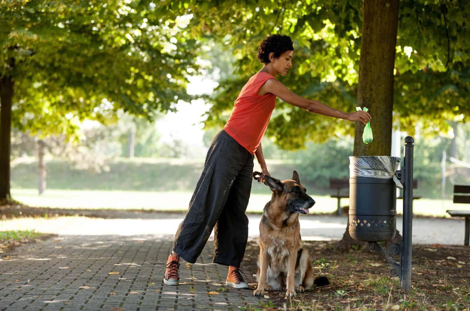 Best Dog Waste Disposal System: 13 Picks That Don’t Stink