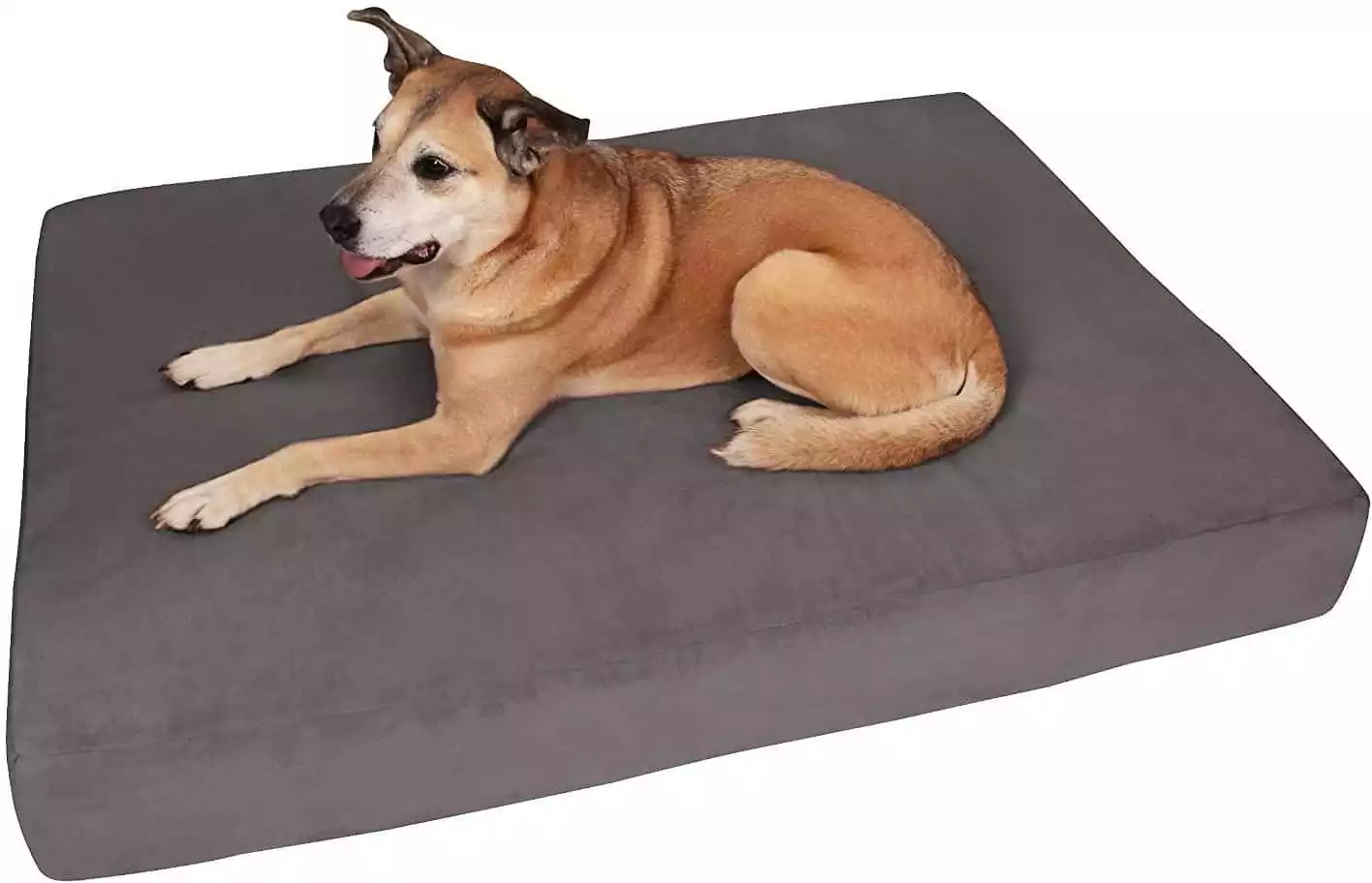 Big Barker 7" Dog Bed