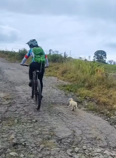 biker and puppy