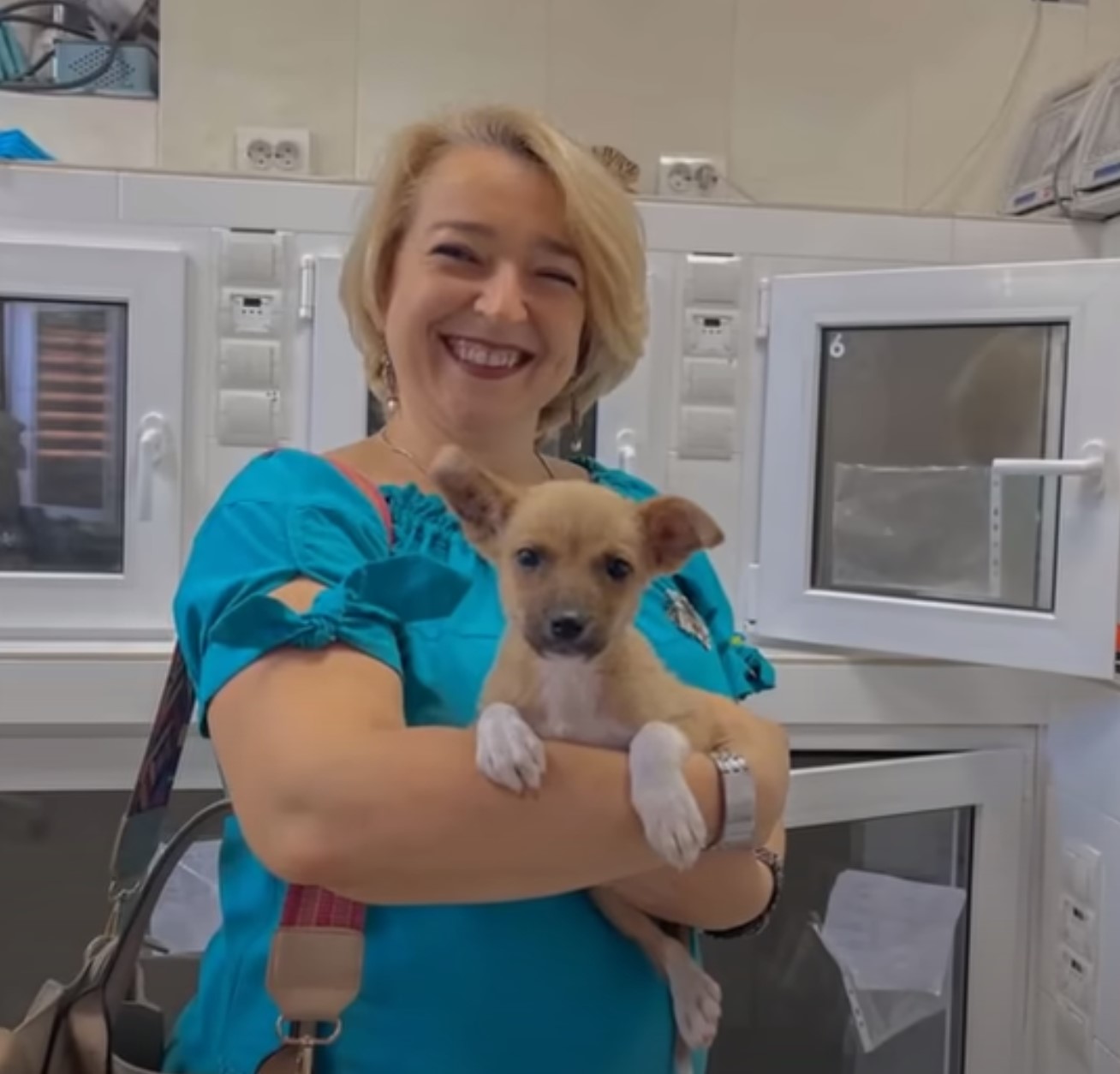 blonde woman holding a dog