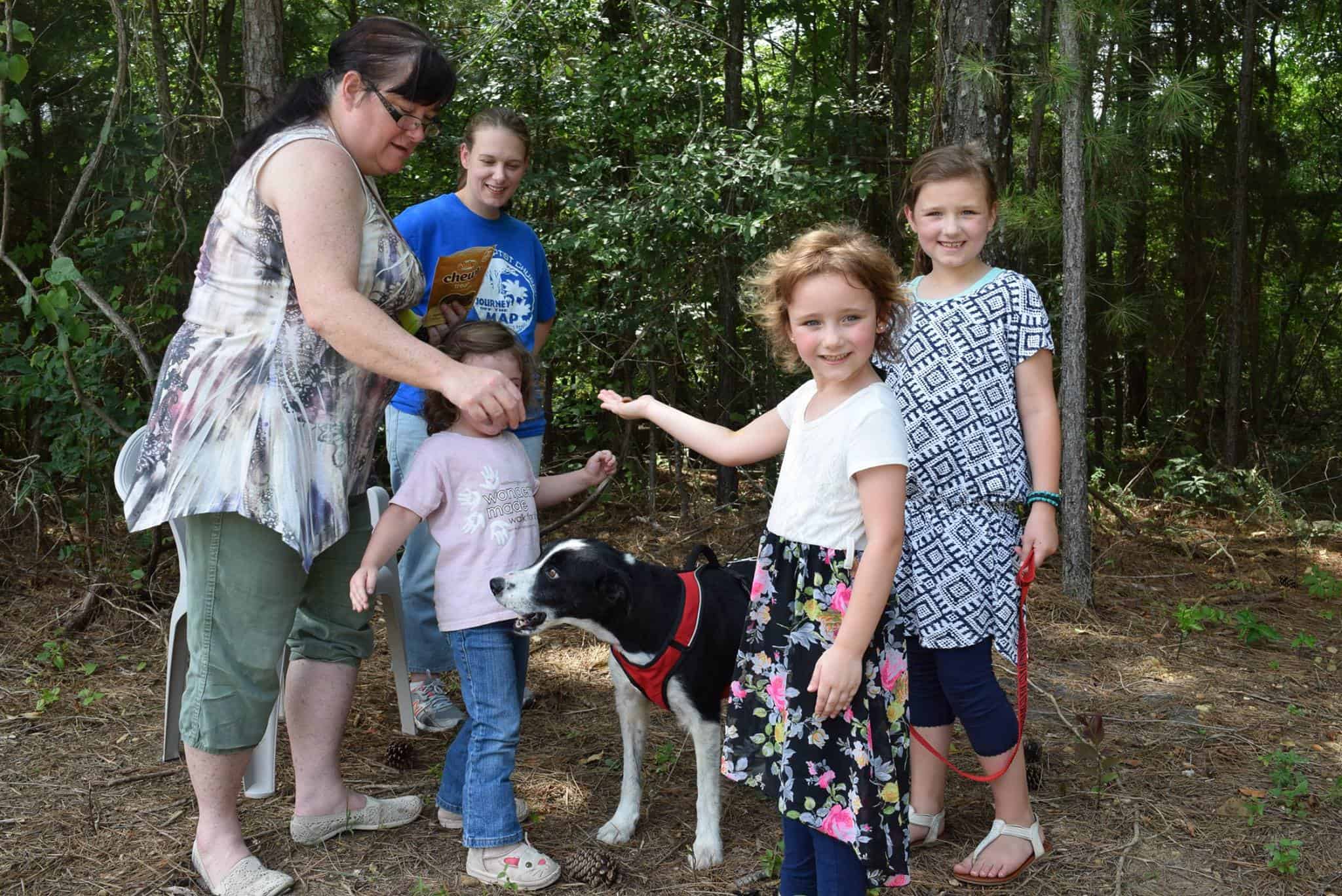 rescue border collie meeting a new family