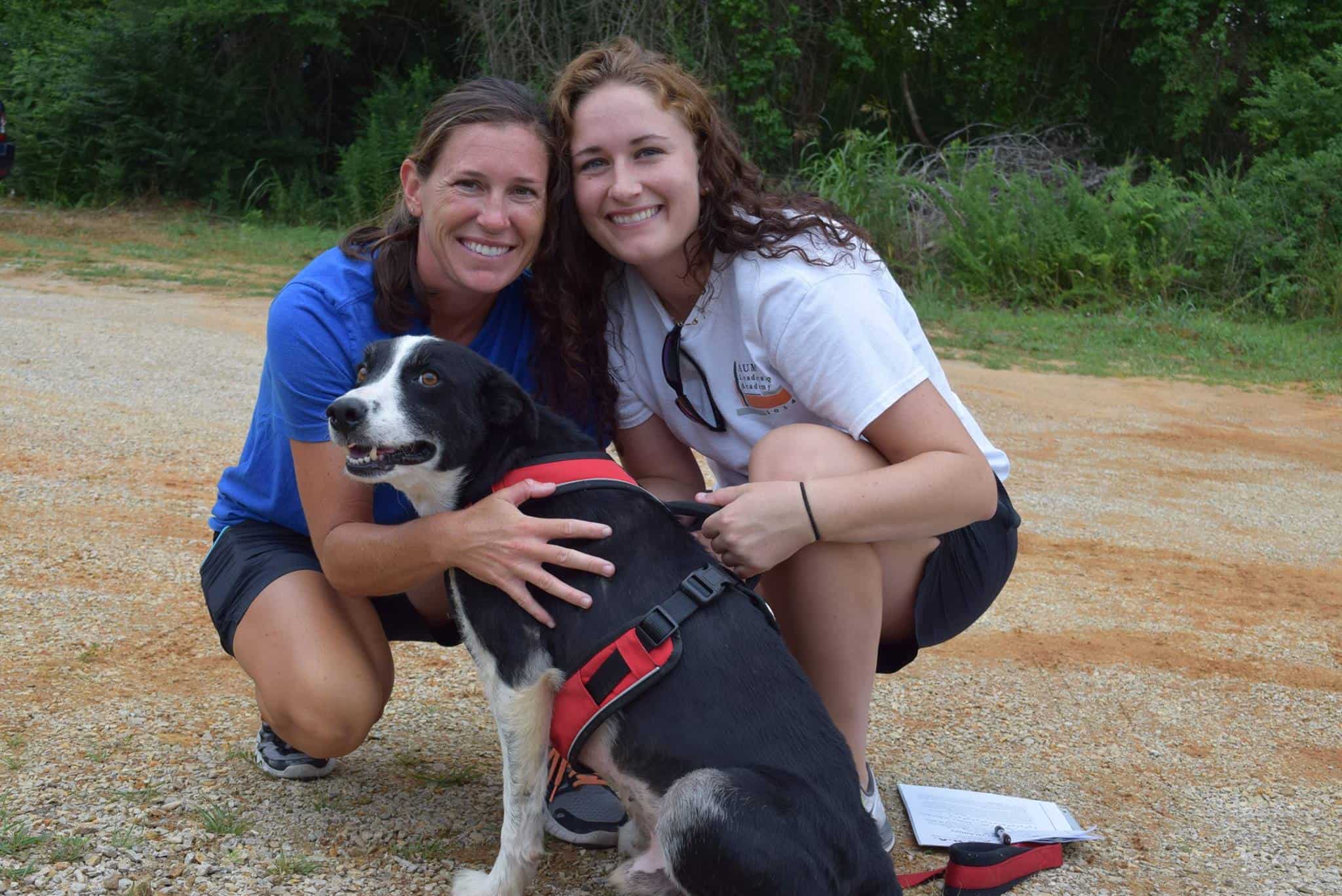 border collie with his new owner