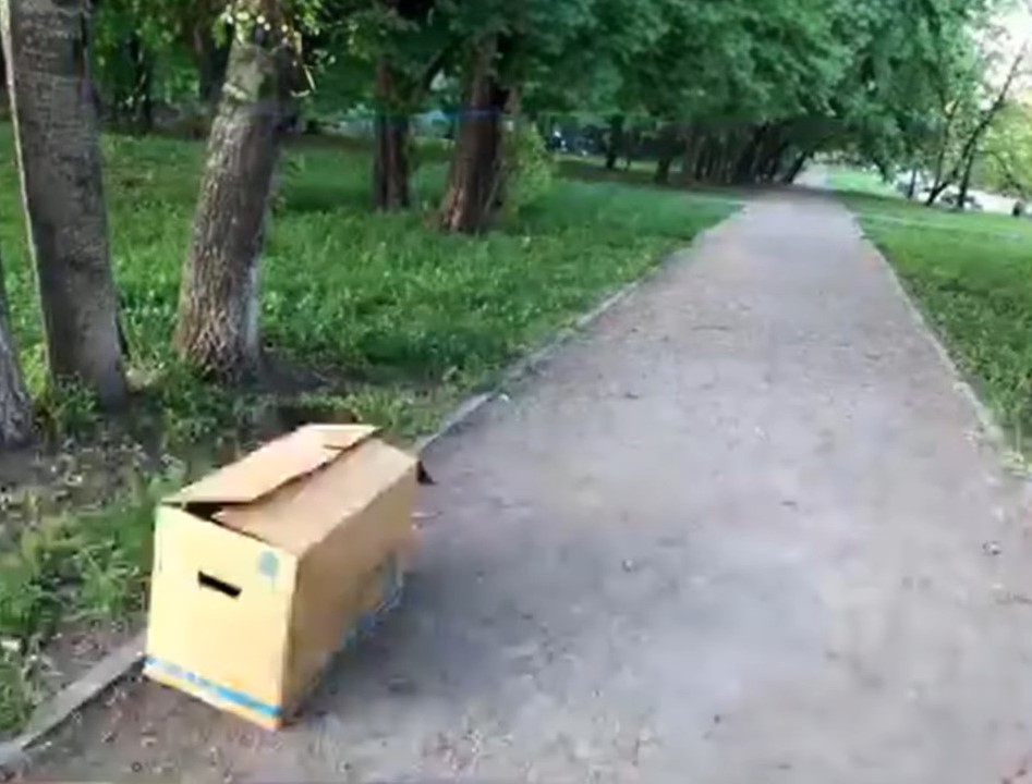 box in a park