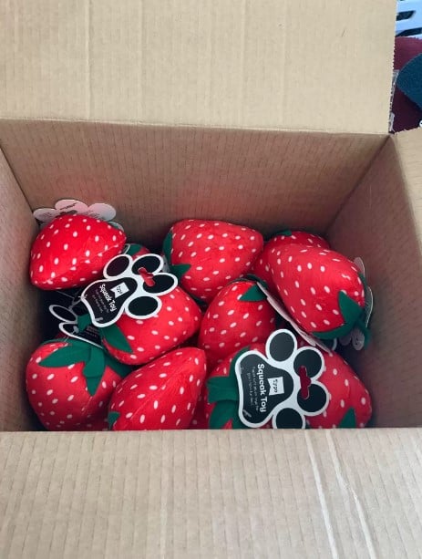 box of Marley's favorite toy strawberries