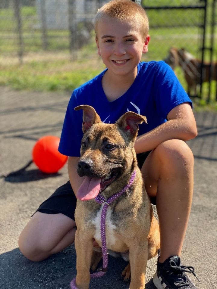 boy and a dog named friday