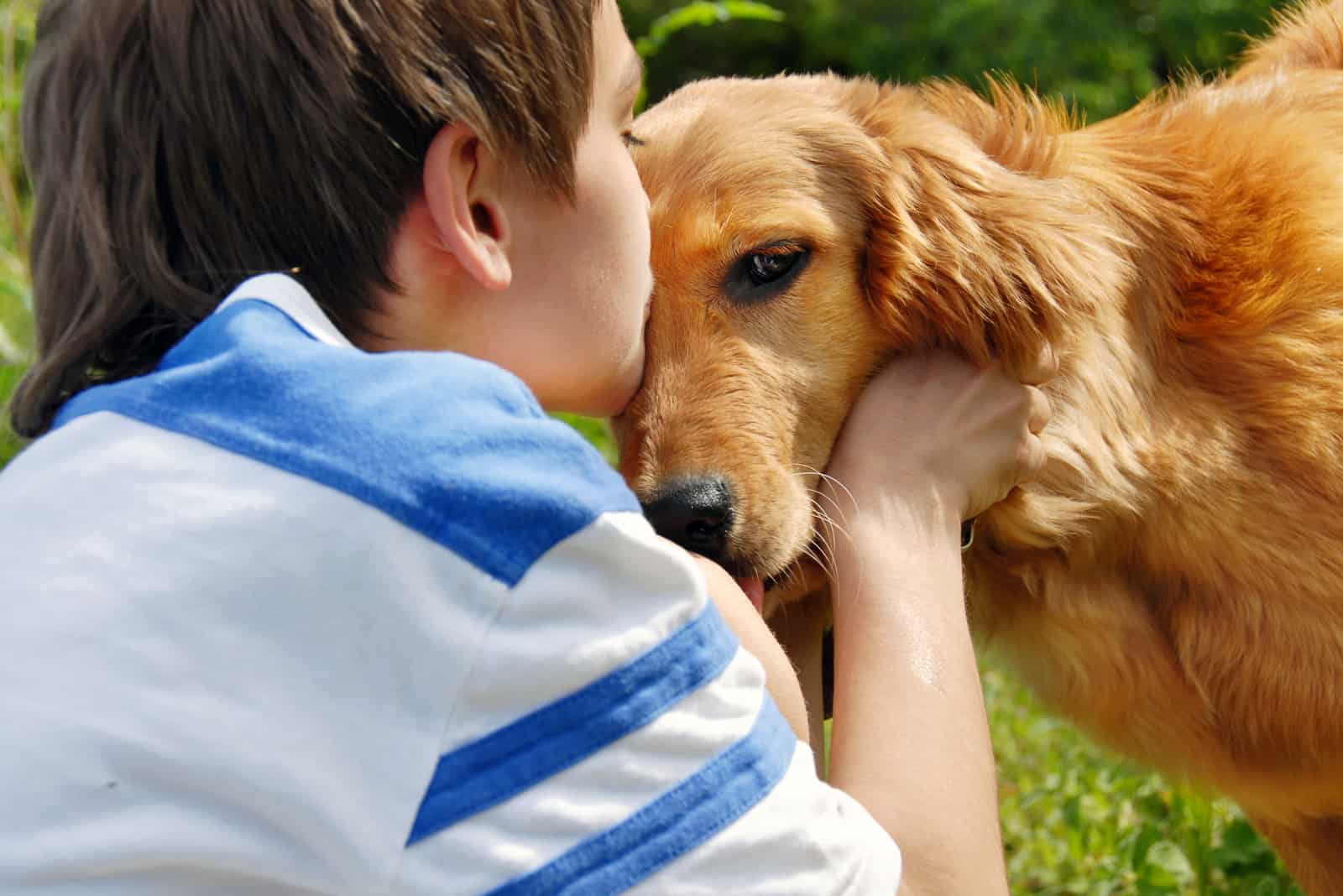 boy kissing Red Golden Retriever