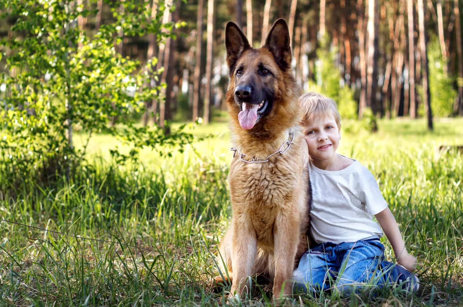 boy posing with German Shepherd