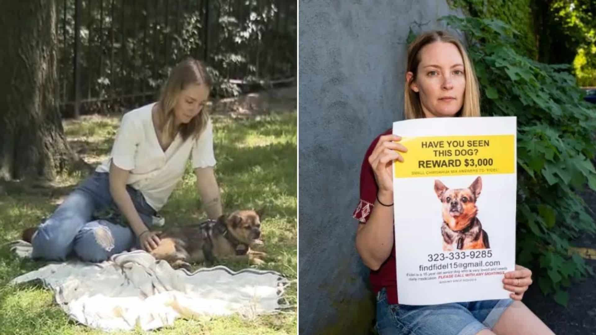 Determined Owner Finds Her Stolen Senior Dog And Steals Him Back