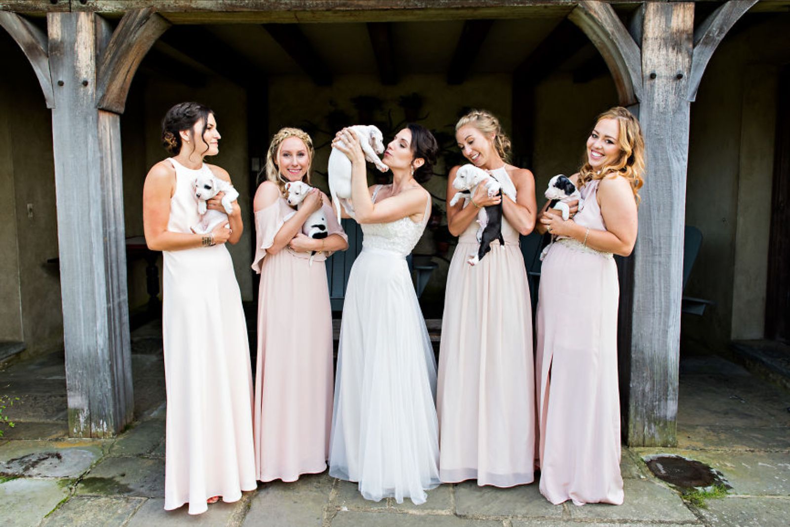 bride and bridesmaids holding puppies