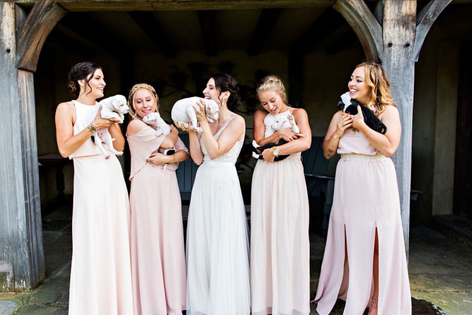 bridesmaids and bride smiling and holding puppies