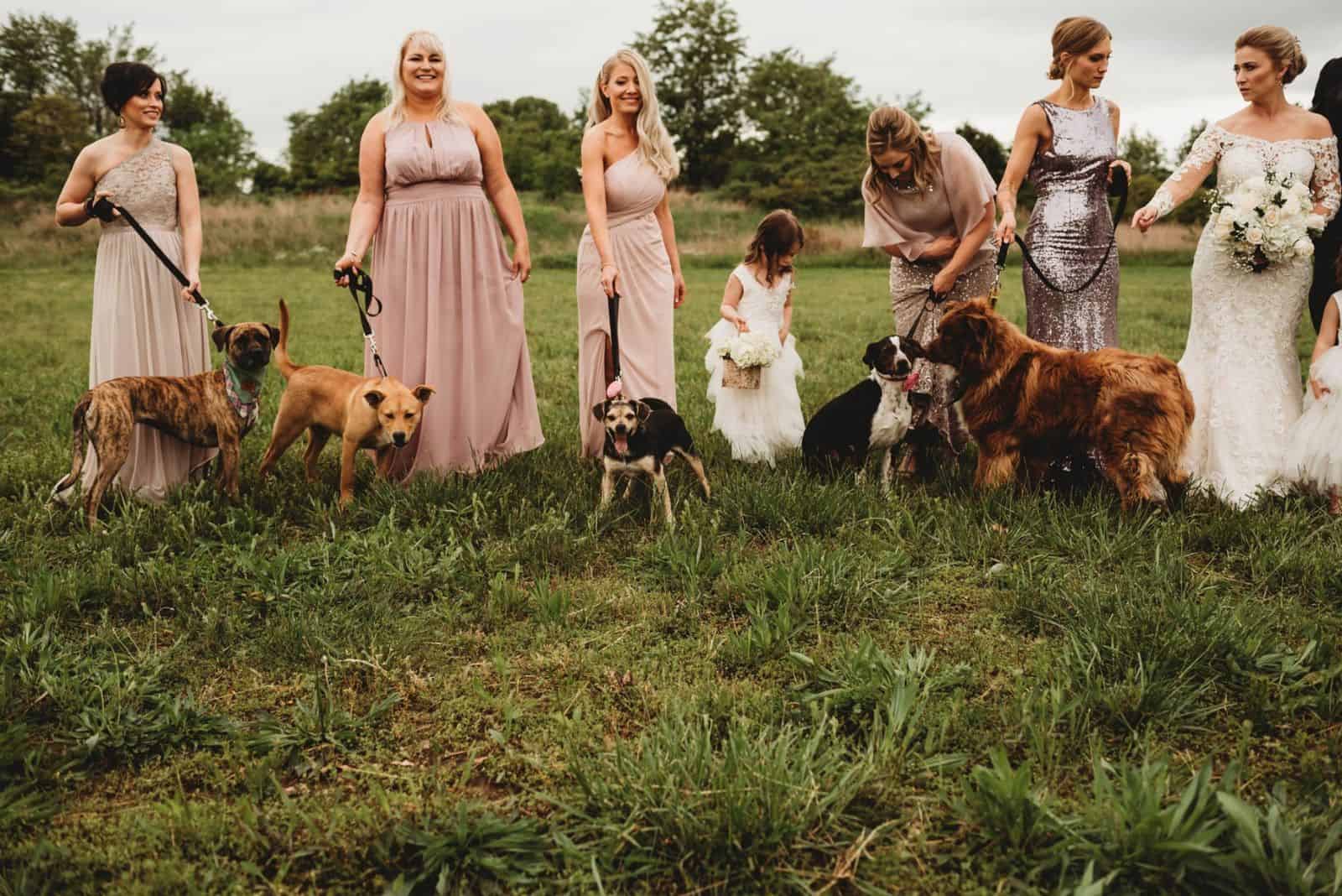 bridesmaids with dogs on a leash posing for photography