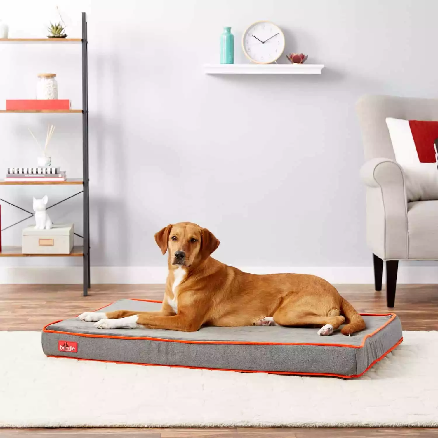 Brindle Waterproof Orthopedic Bed