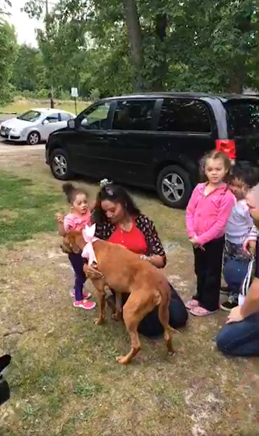 brown dog playing outside with bunch of people