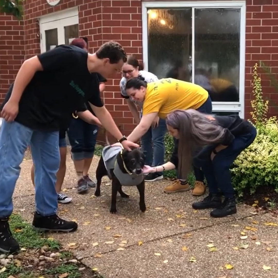 bunch of people cuddling a dog