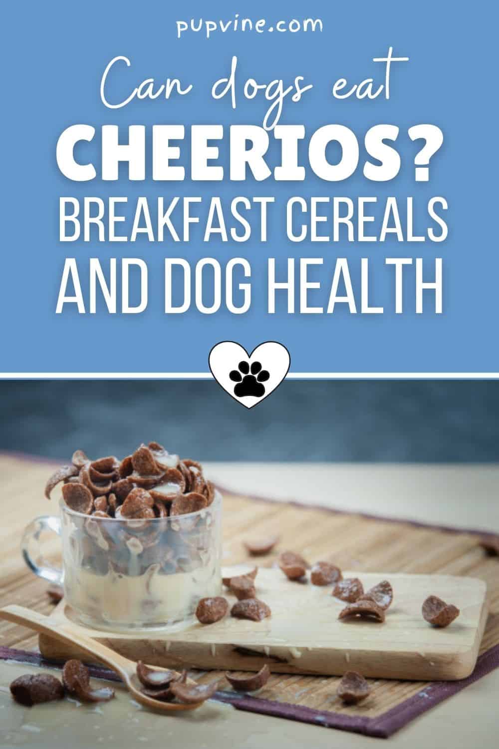 Can Dogs Eat Cheerios? Breakfast Cereals And Dog Health