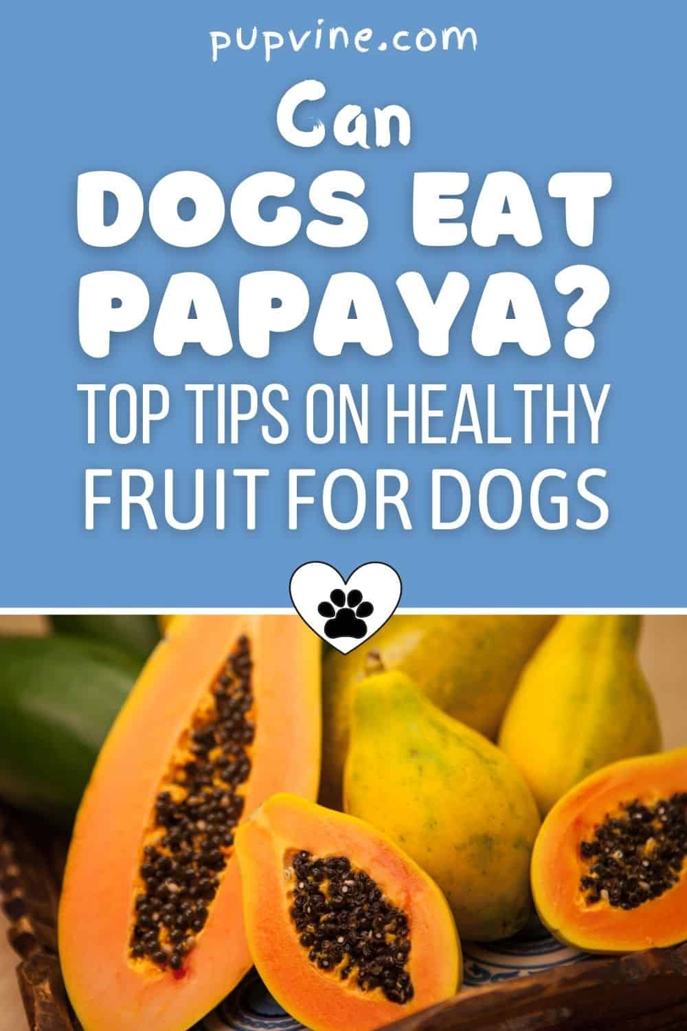 Can Dogs Eat Papaya? Top Tips On Healthy Fruit For Dogs