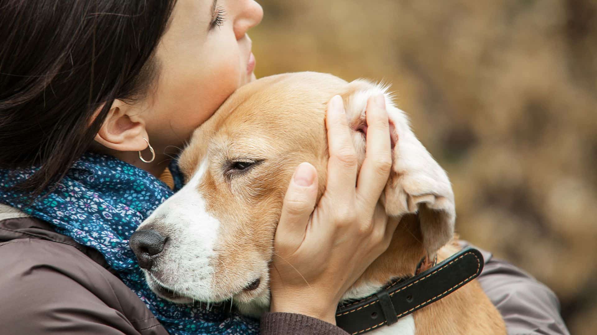 Can Dogs Know When We Are Sad