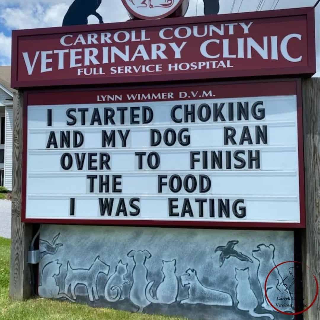 carrol county funny vet clinic sign