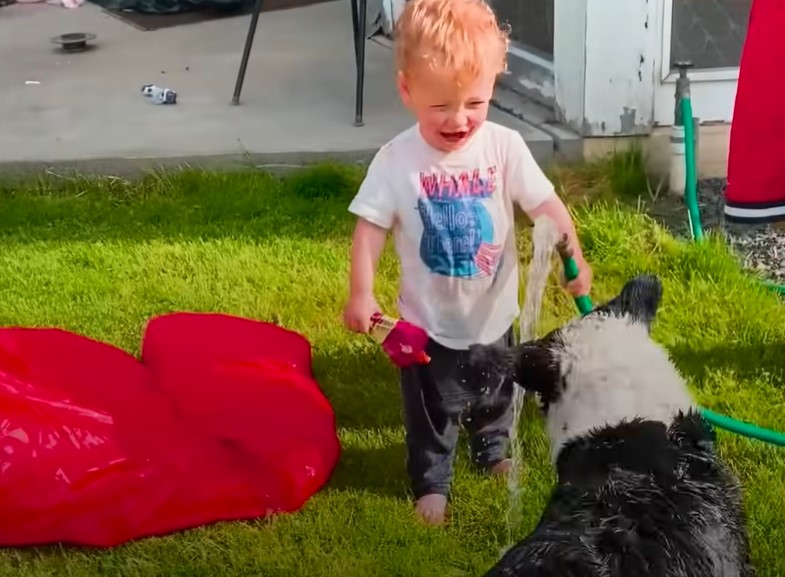 child and a dog playing with a hose on the grass