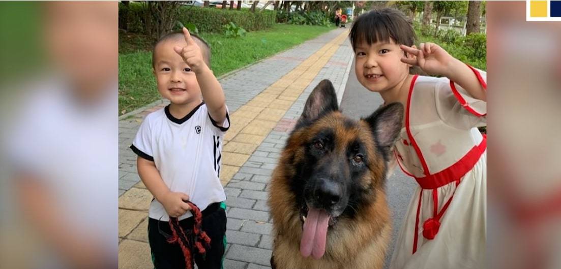 children walking with a German shepherd