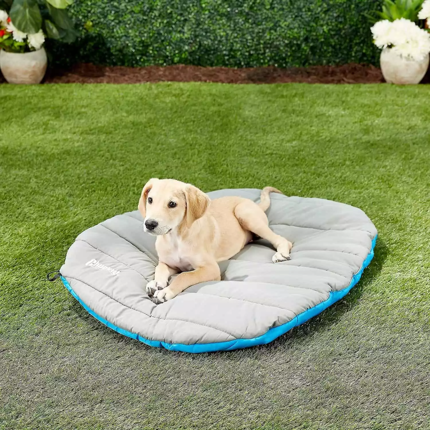 Chuckit! Travel Pillow Dog Bed