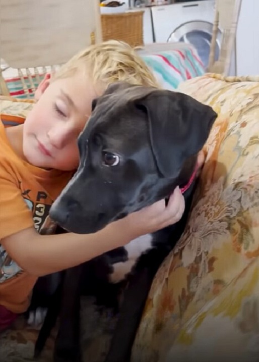 close-up photo of little boy hugging the puppy