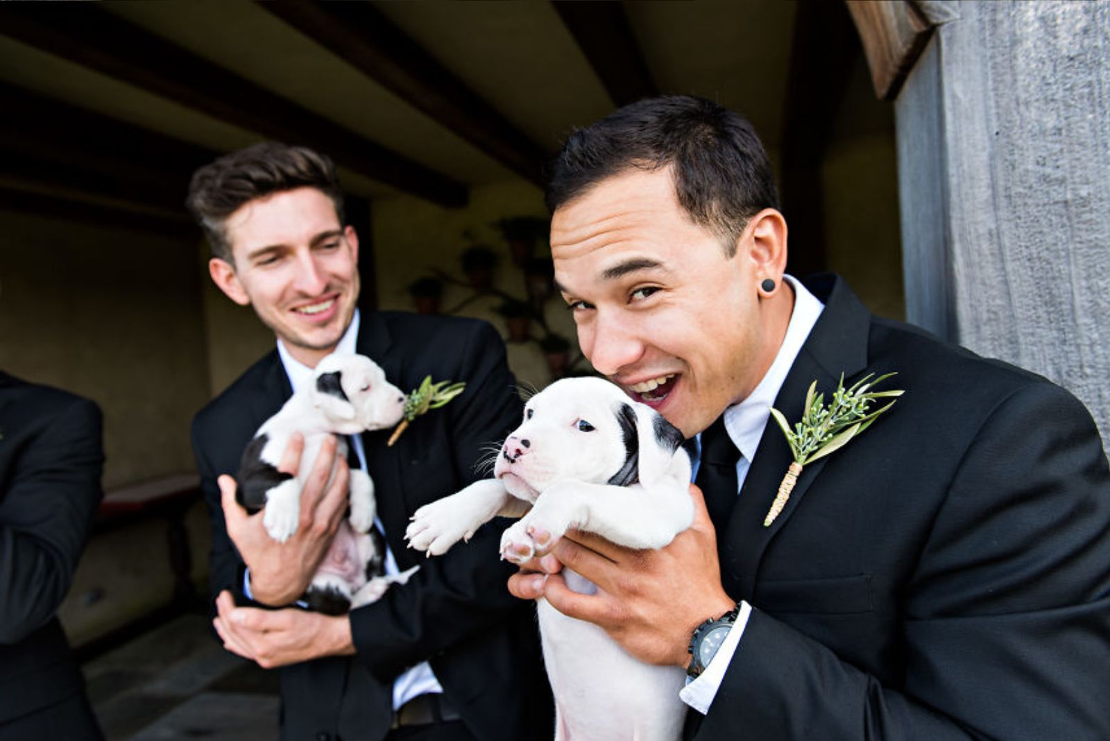 close-up photo of two men holding puppies