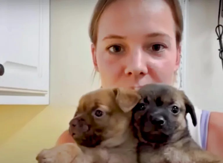 close up photo of a woman holding orphaned puppies