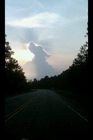 cloud in the shape of a dog