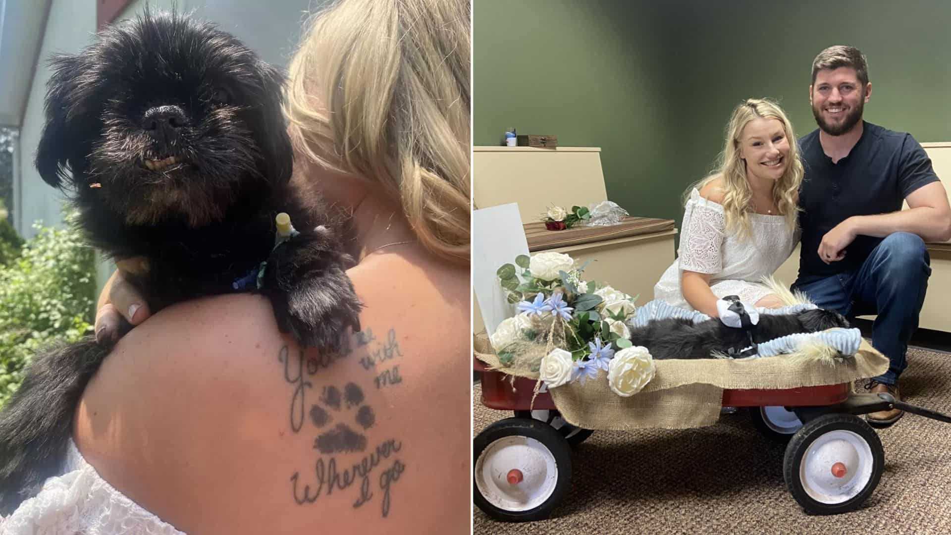 Couple Living In Wisconsin Has Their Wedding At The Vet To Include Their Beloved Dog