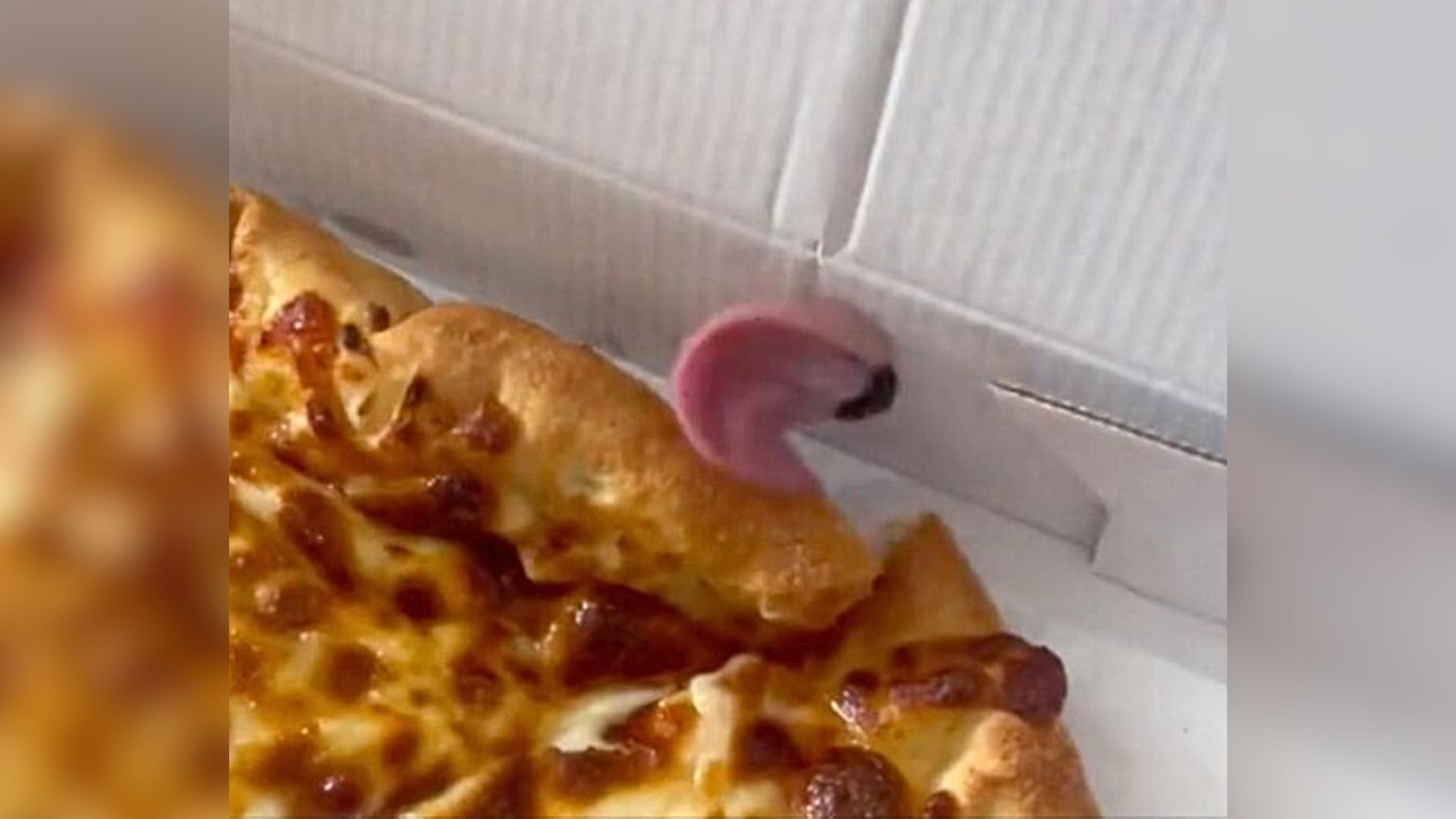 Couple Eating Pizza Notices An Unusual ‘Topping’ On It And Rolls In Laughter