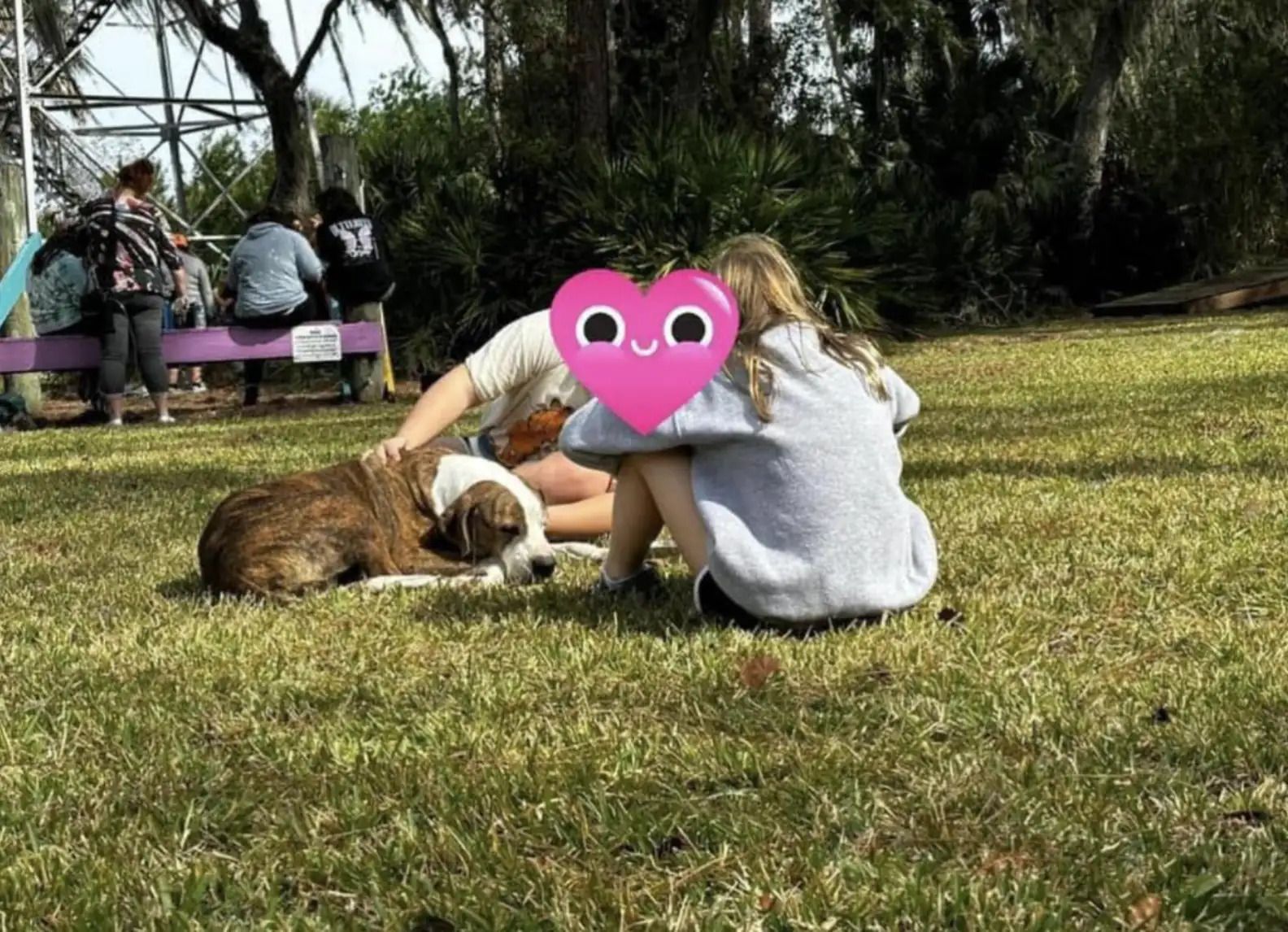 couple sitting on the grass and dog