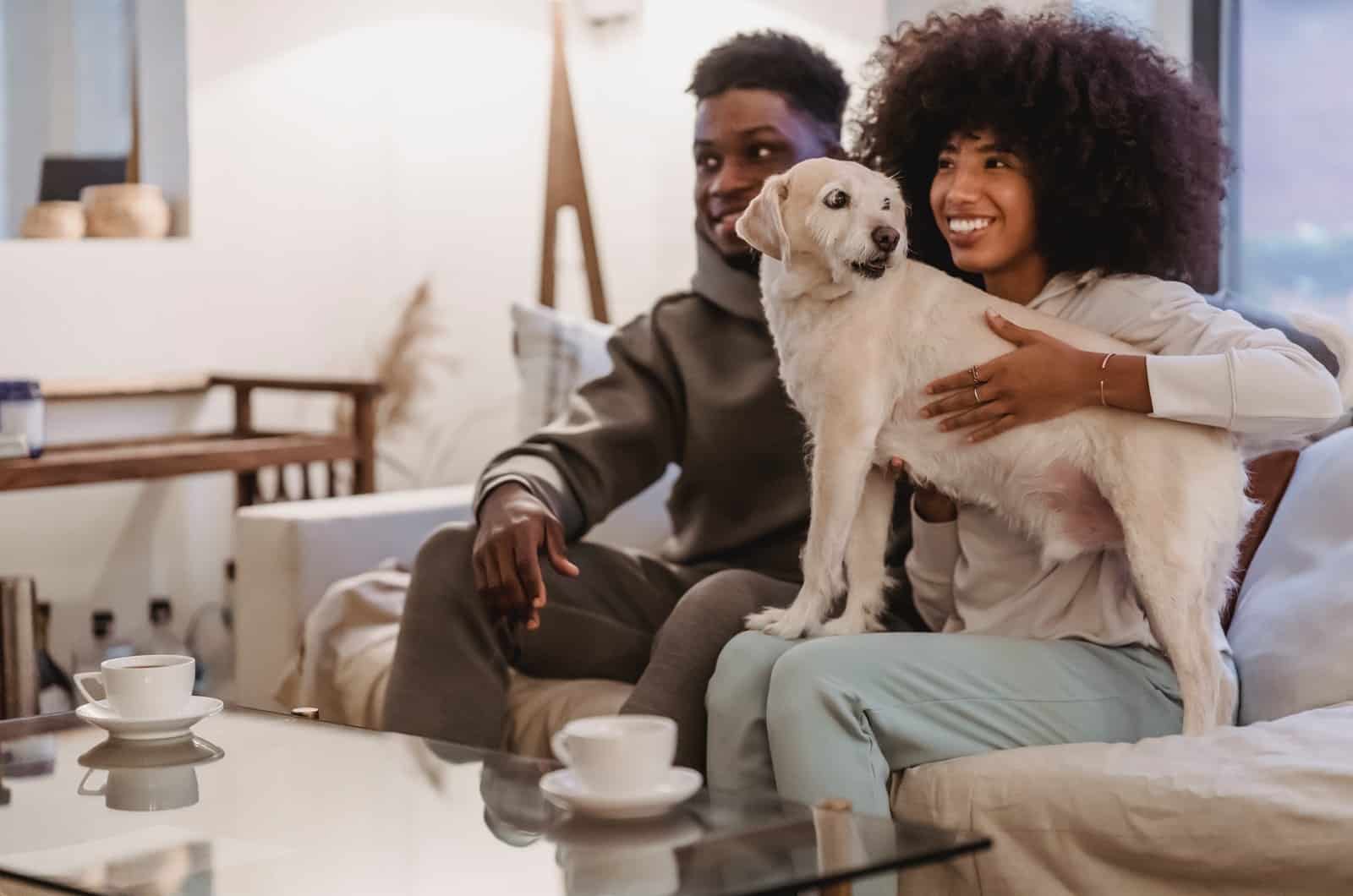 couple with the dog in lap