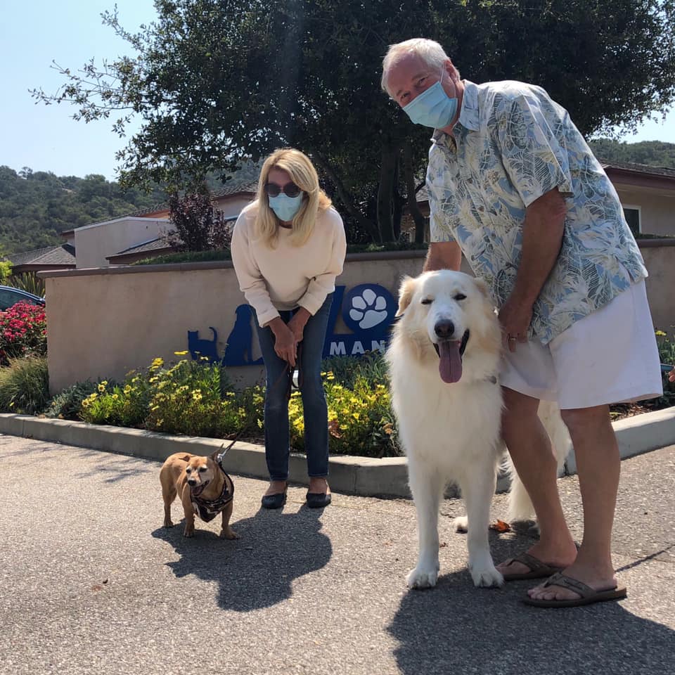 couple with their dogs