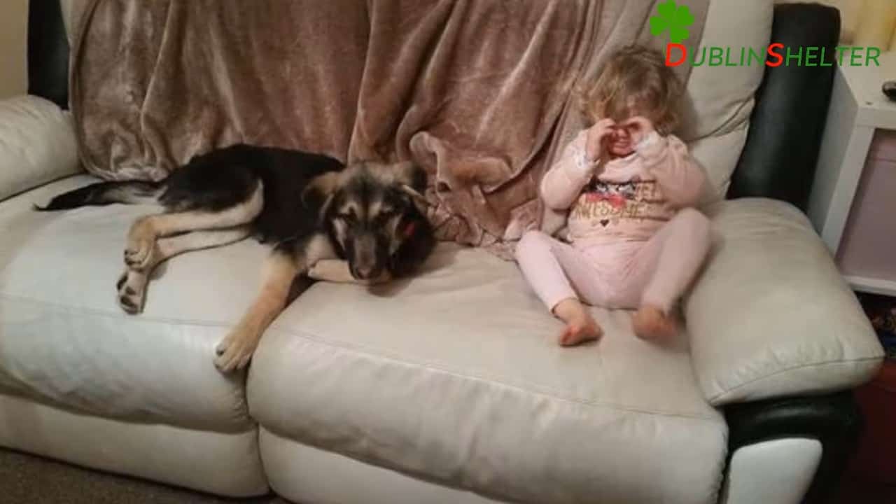 crying little girl with puppy on the couch