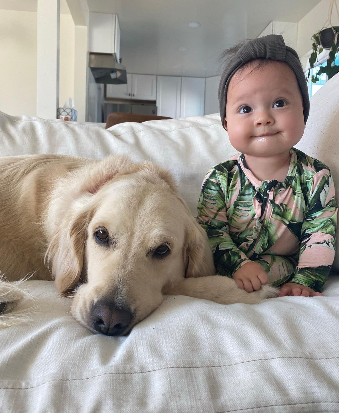 cute baby and cute dog