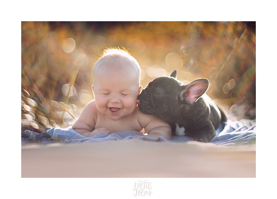 cute baby posing with dog