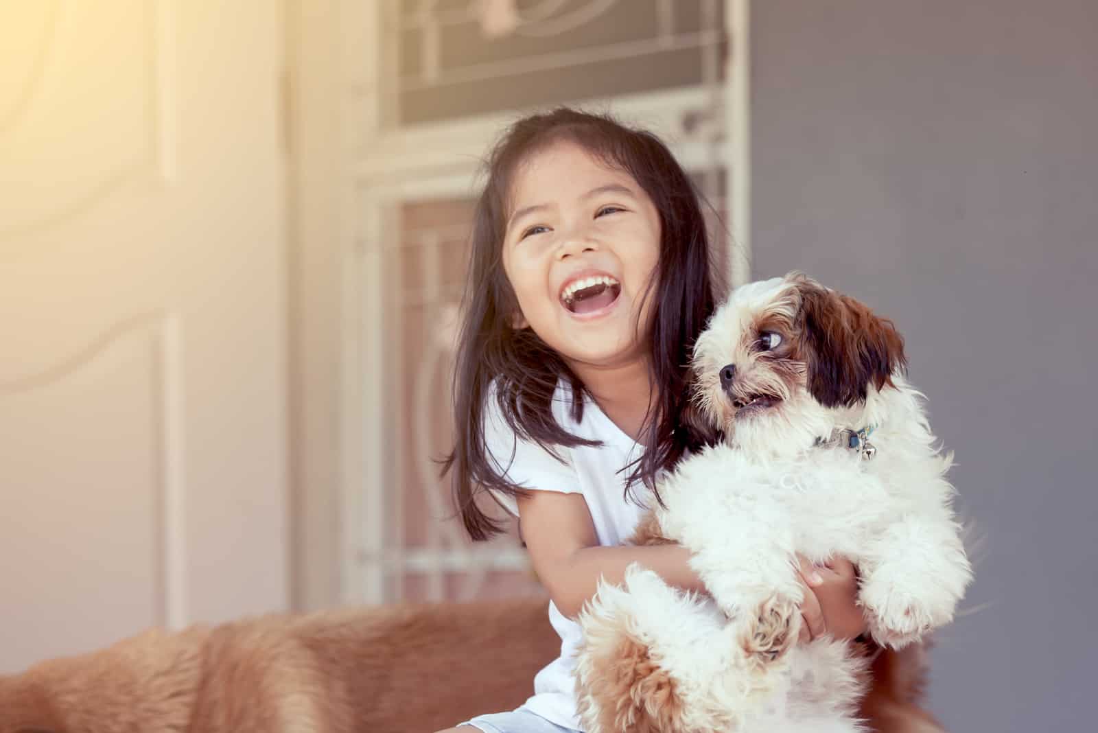 cute girl with her shih tzu pet